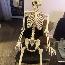 Posable Skeleton