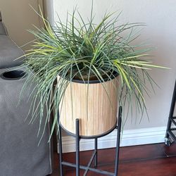Plant Stand 