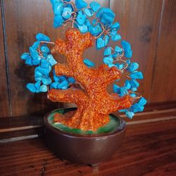 Turquoise  Bonsai  Money Tree