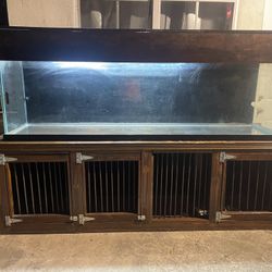 120g Tank Set Up