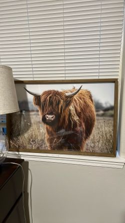 Highland Cow Frame 