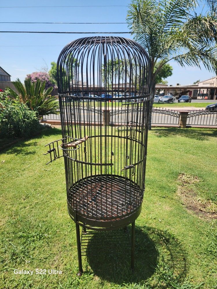 Bird Cage