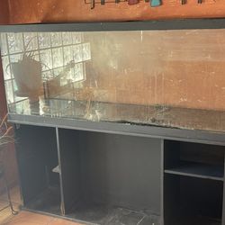 120 Gallon Aquarium & Stand
