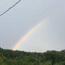 Rainbow