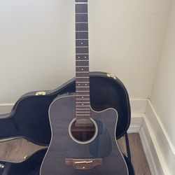 Takamine P1