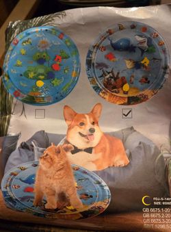 Interactive Cat and Dog Water Play Mat