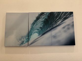 Wall art 3 pieces (each piece 3ft X 2ft)