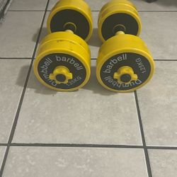 Dumbbell Pair