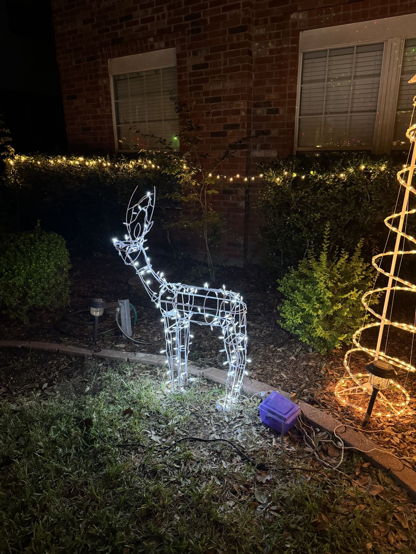 Light up deer yard decoration for Christmas
