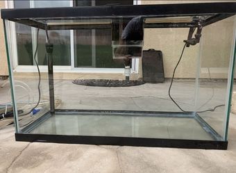 30 gallon fishtank