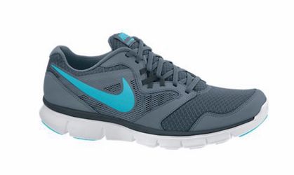 Nike Flex Experience Run 3 women's running shoes