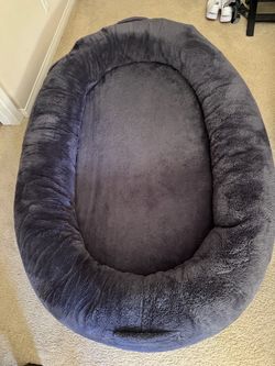 Human Dog Bed