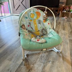 Baby Bouncer