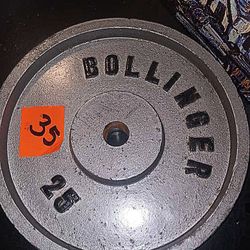 Bollinger 25lb Metal Weight Plate💪🦵