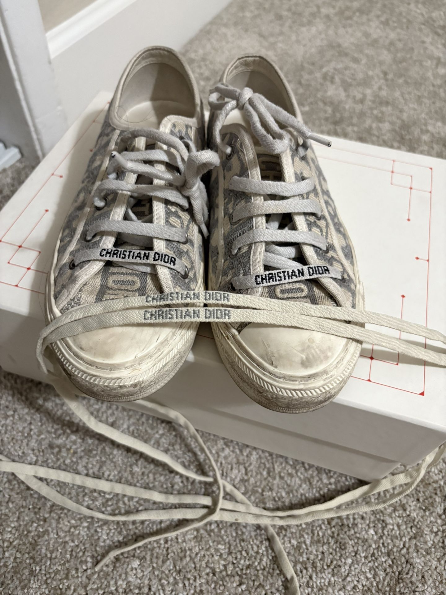 Dior Shoes