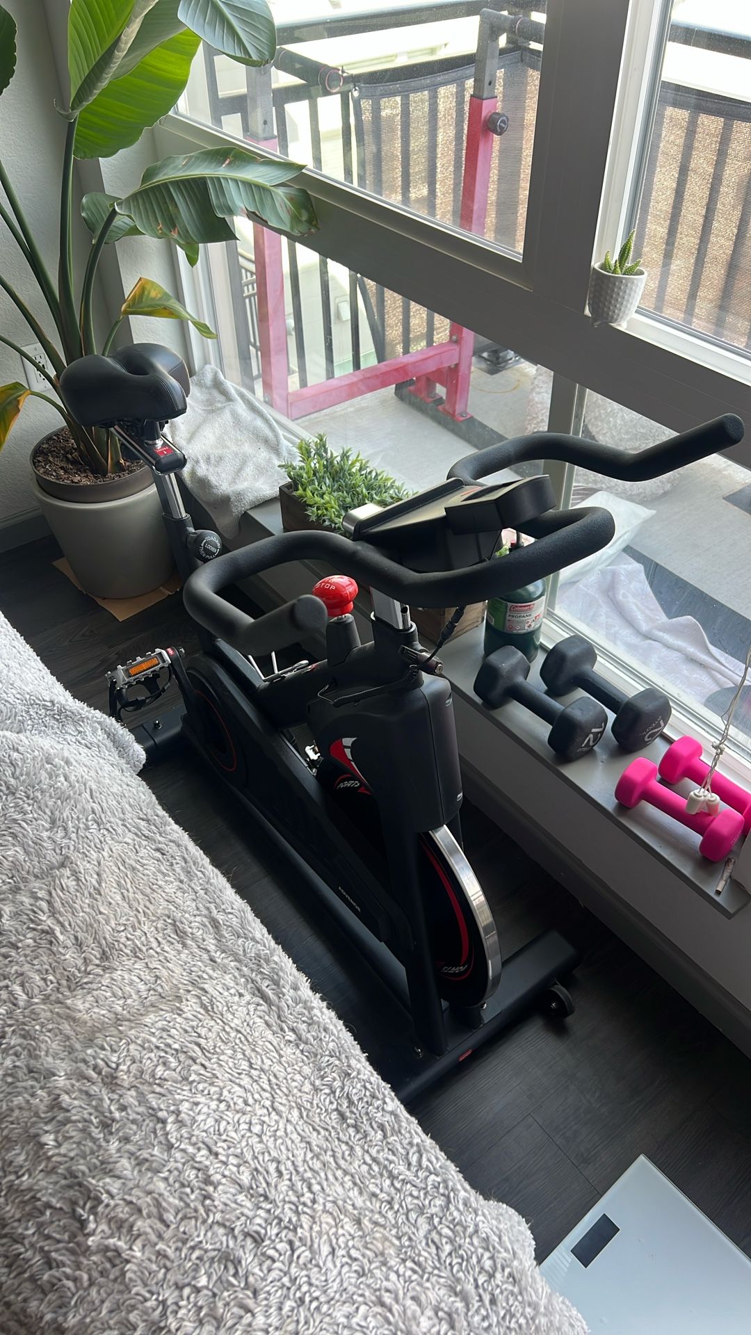 Spin Bike 