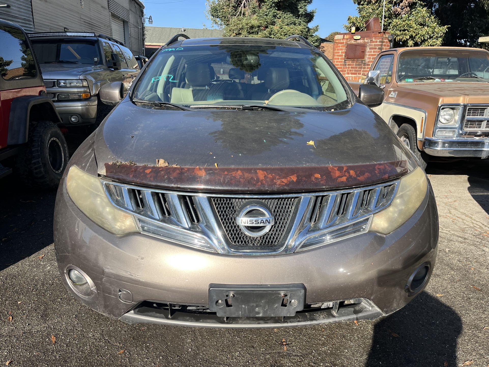 Nissan Murano Hood Proteccion