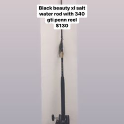 Salt Water Fishing Rod #25808