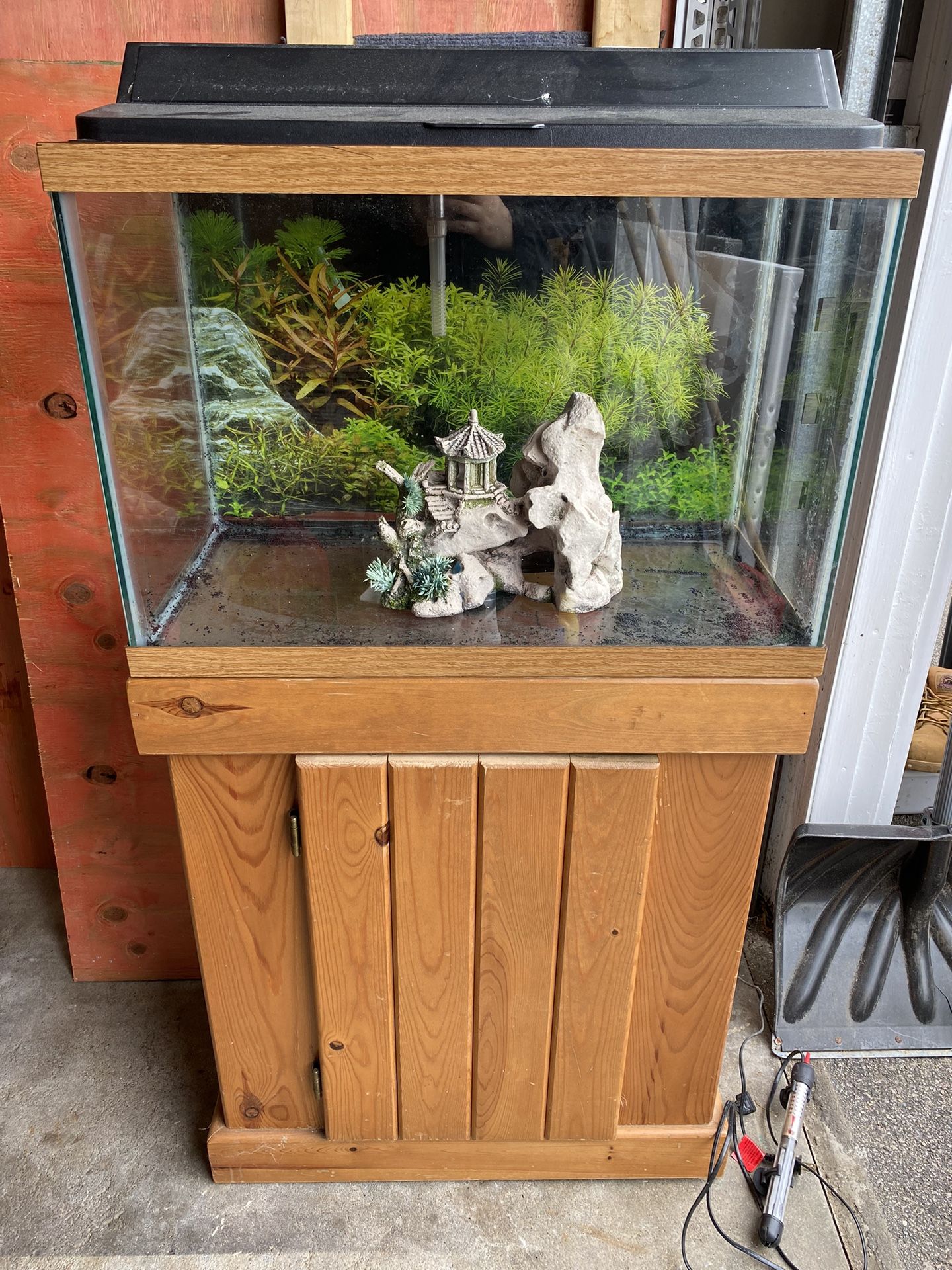 20 Gallon (Tall) Aquarium With Stand And More