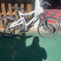 Diamondback Mountain Bike