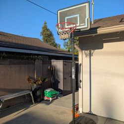 Lifetime Portable Basketball Hoop