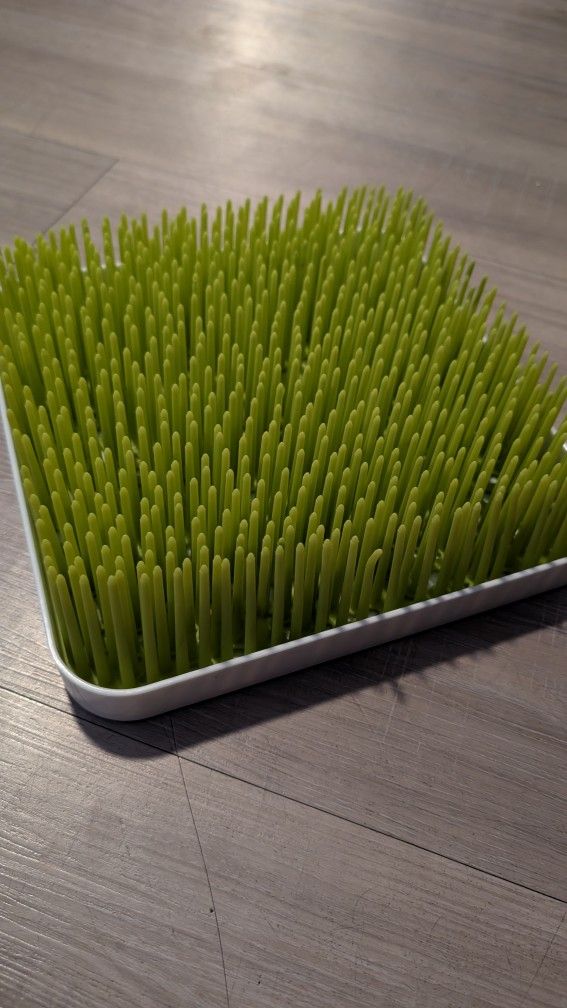 Boon Grass