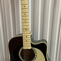 Esteban Acoustic Electric Guitar VL-200 