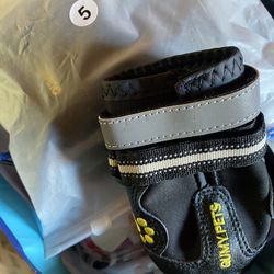 Set up for size 5 dogs Shoes