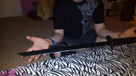 Sword no case to it need it gone