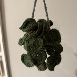 Handmade Crochet Plant 