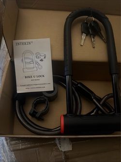 Intekin bike lock