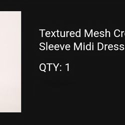 Express Mesh Midi Dress