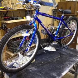 Pacifica Mountain Bike