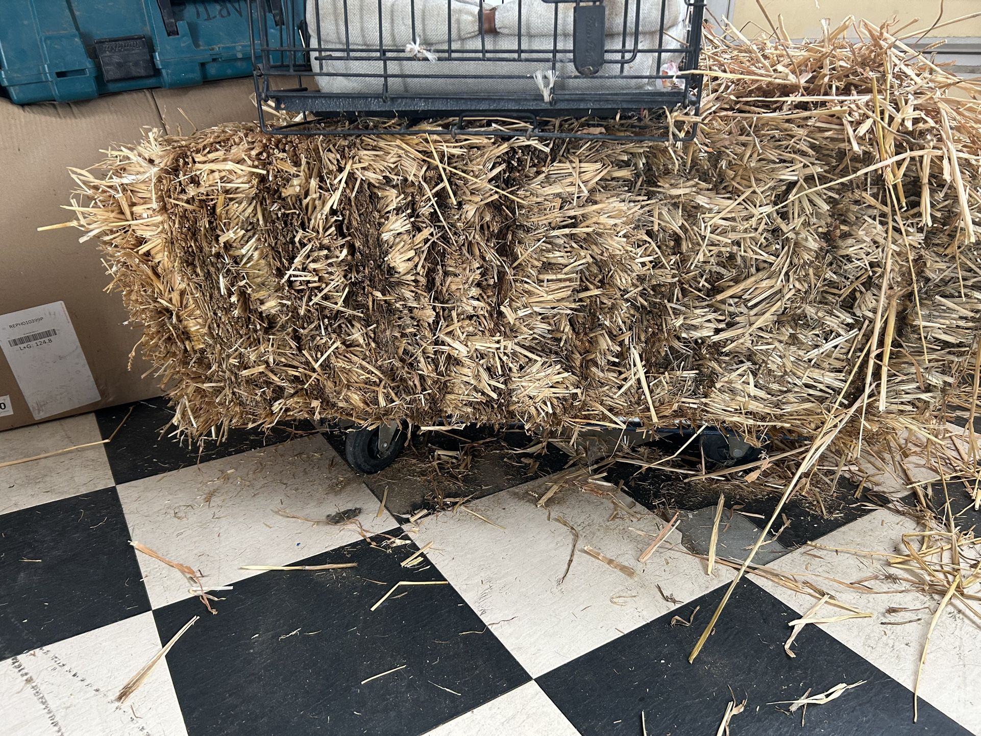 Leftover Straw Bale, Extra Straw, Extra Paja