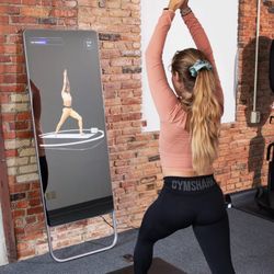 Fiture Exercise Mirror 