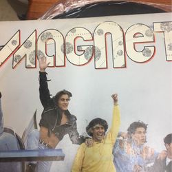 Vinyl Record