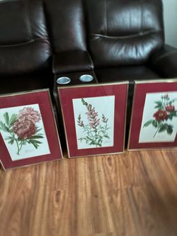 Reduced Beautiful Rose Frames ( $25 for all)