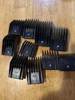 Oster Universal Guards