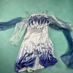 Girls Elsa Dress With Music Size 4-5