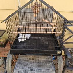 Bird Cage 