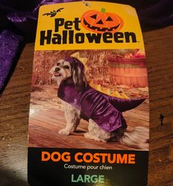 Dinosaur dog