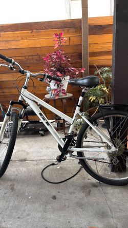 Gt mountain bike