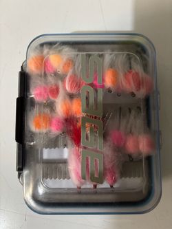 Eggs Fly Box with Assorted Egg Flies and Flesh Flies