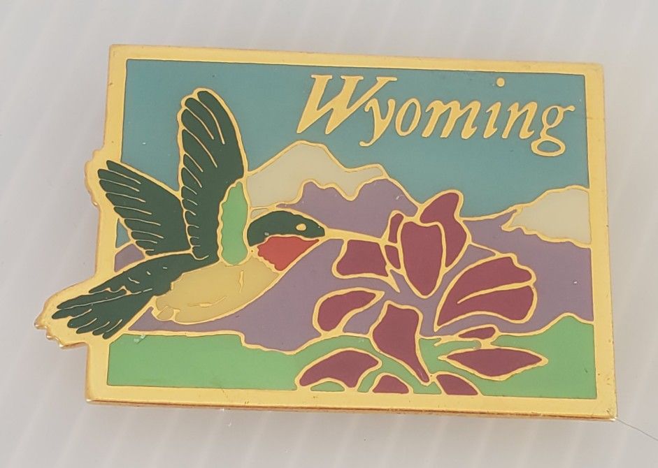 Wyoming Hummingbird Refrigerator Fridge Park Magnet Vintage Metal Mountains