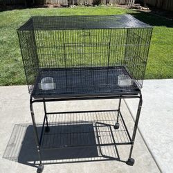 Bird Cage 
