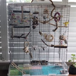 Hari Vision Cage