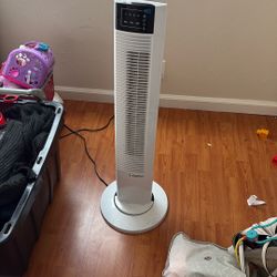 Fan With Remote 
