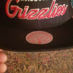 Snapbacks 