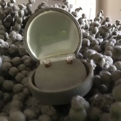 Diamond Stud Earrings 