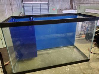 Fish tank 29 gallon Custom made salt water tank and supplies